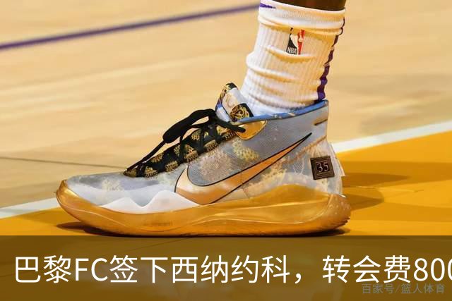 巴黎FC签下西纳约科，转会费800万欧元